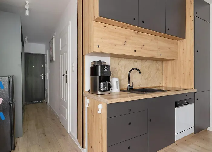 Apartament Piastow Comfy With Balcony & Office In By Renters Katowice